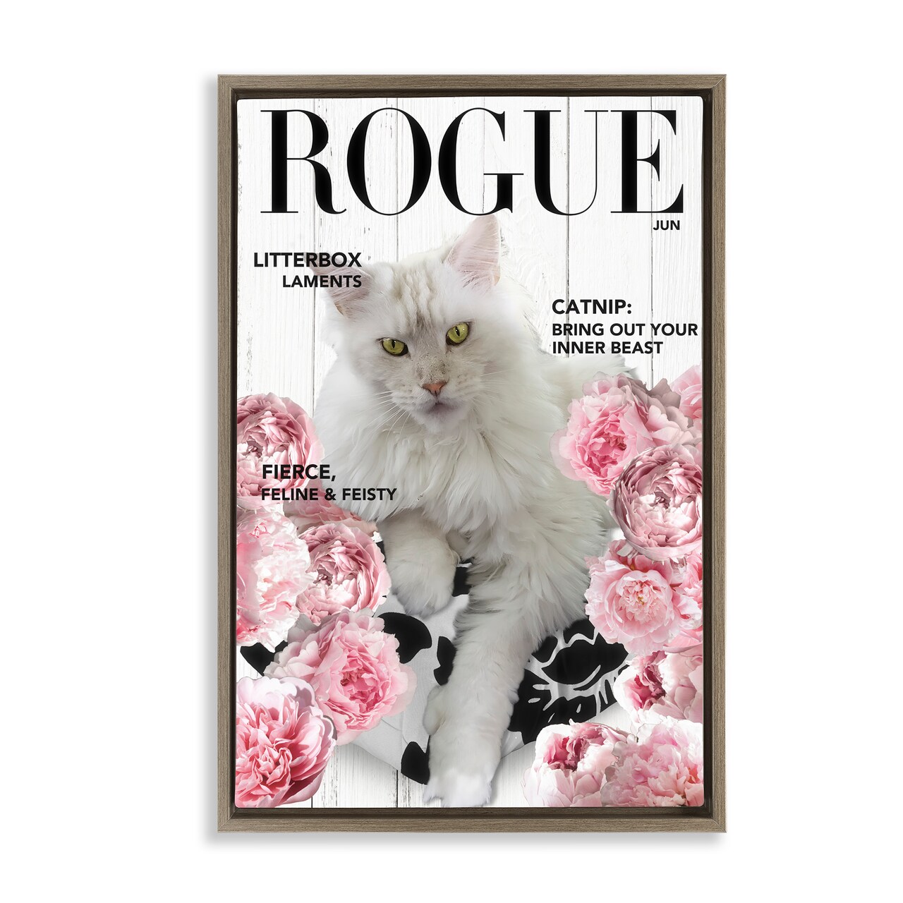 Stupell Industries Funny Floral Cat Magazine Floating Frame, design by Sasha